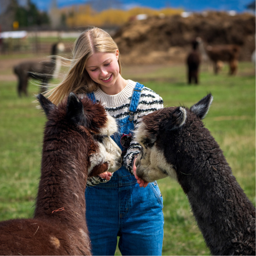 Alpaca &amp; Llama Farm Tour Experience