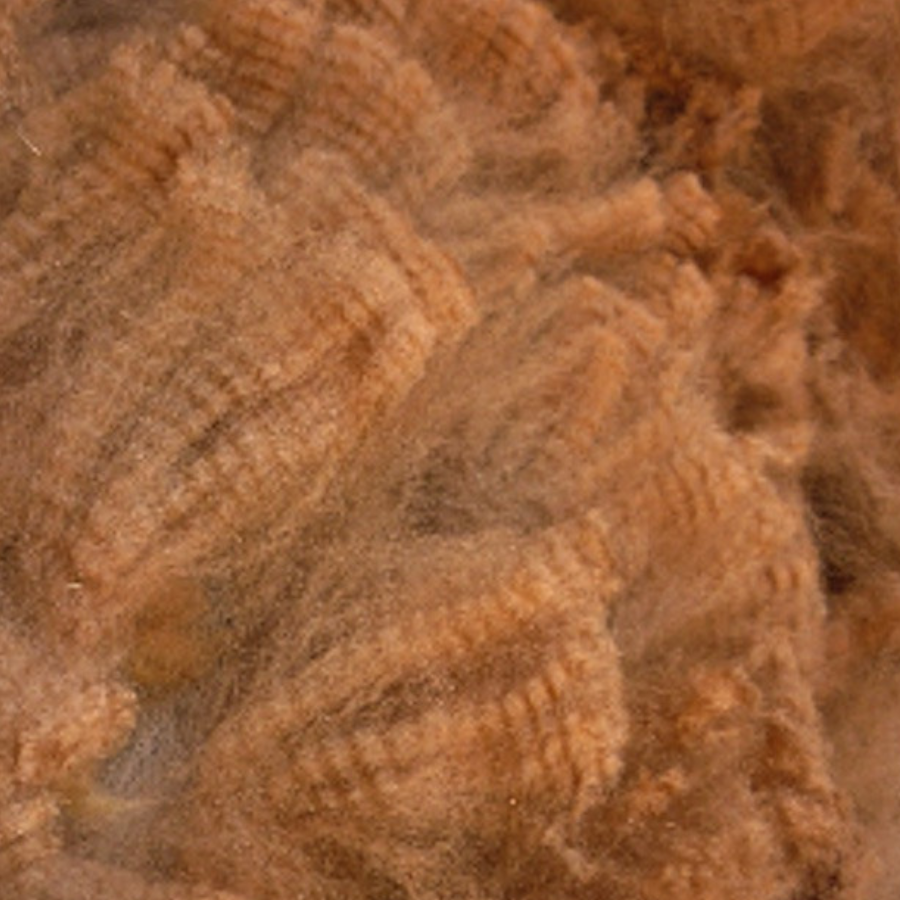 Baby Alpaca Fiber and Raw Fleece