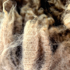 Baby Alpaca Fiber and Raw Fleece