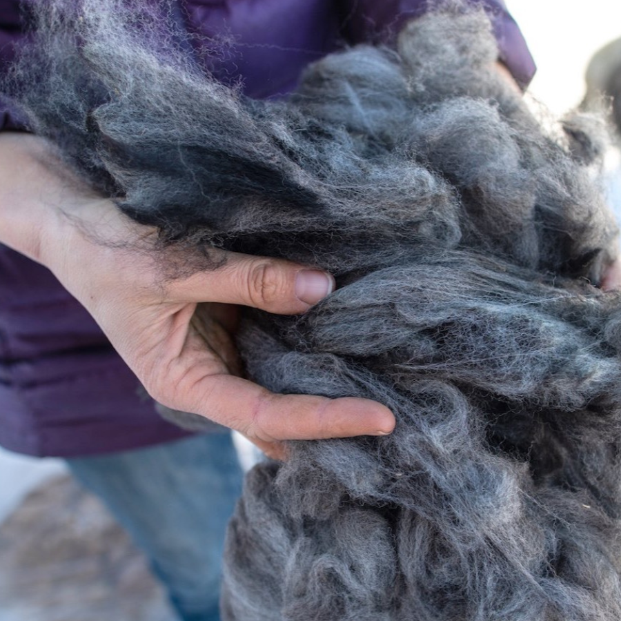 Baby Alpaca Fiber and Raw Fleece