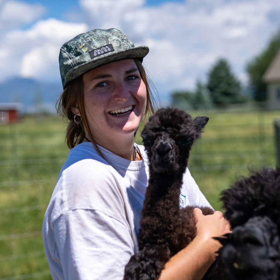 a girl in a hat holding a newborn baby alpaca