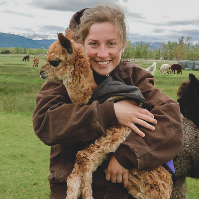 Alpaca & Llama Farm Tour Experience - Alpacas Of Montana