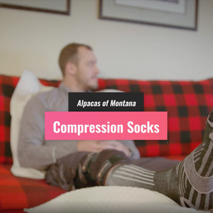 A informative promotional video for the Alpacas of Montana over-the-calf compression socks.