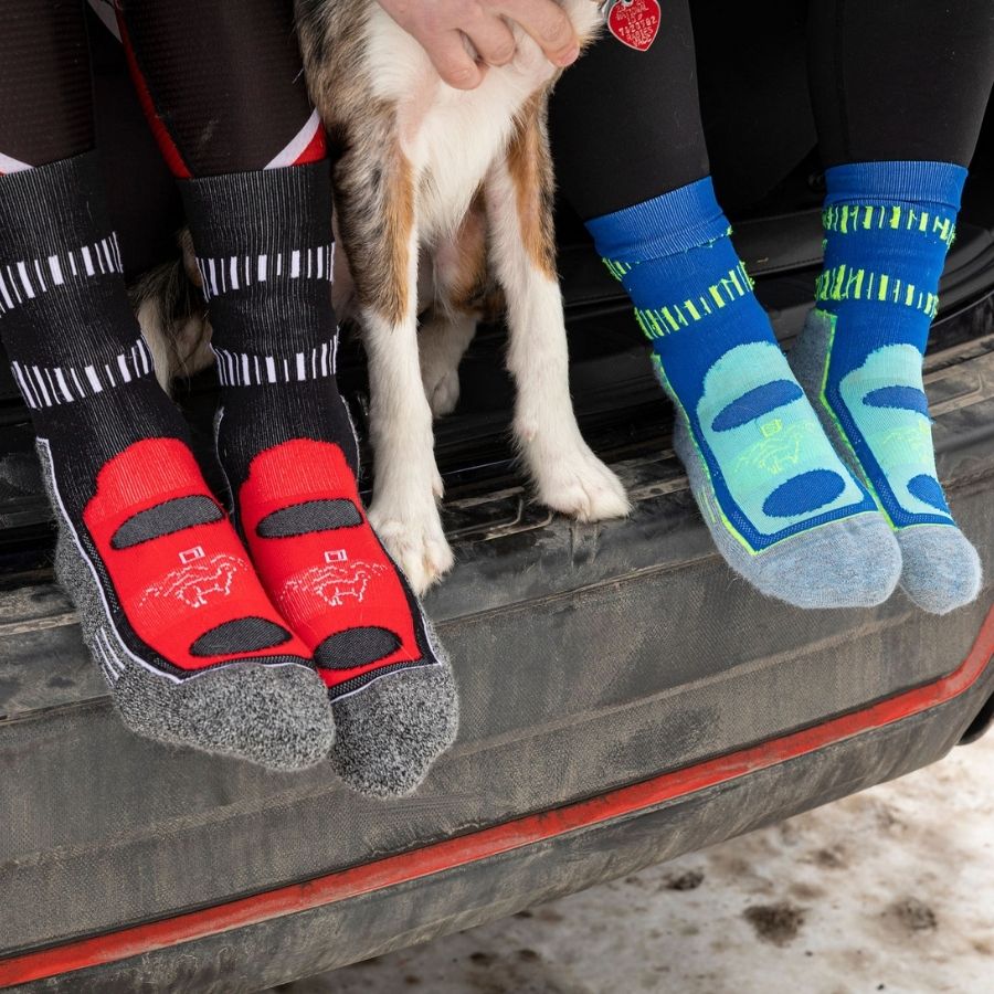 two people sitting in the back of a car with their feet on the tailgate wearing black and red mid crew alpaca socks and blue mid crew alpaca socks with dog sitting in between them
