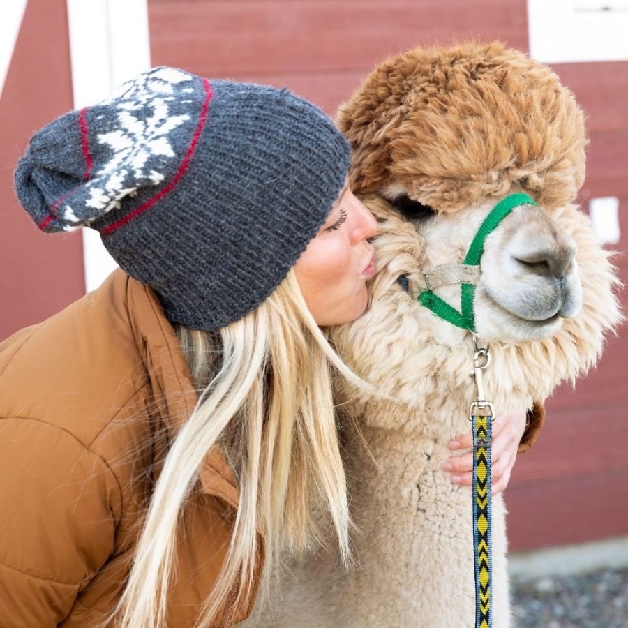 woman kissing alpaca on the cheek wearing gray white and red alpaca wool beanie hat with snowflakes and stripes