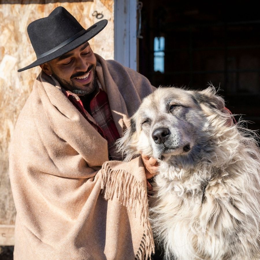 man smiling petting anatolian shepherd dog while wrapped in warm honey alpaca wool blanket