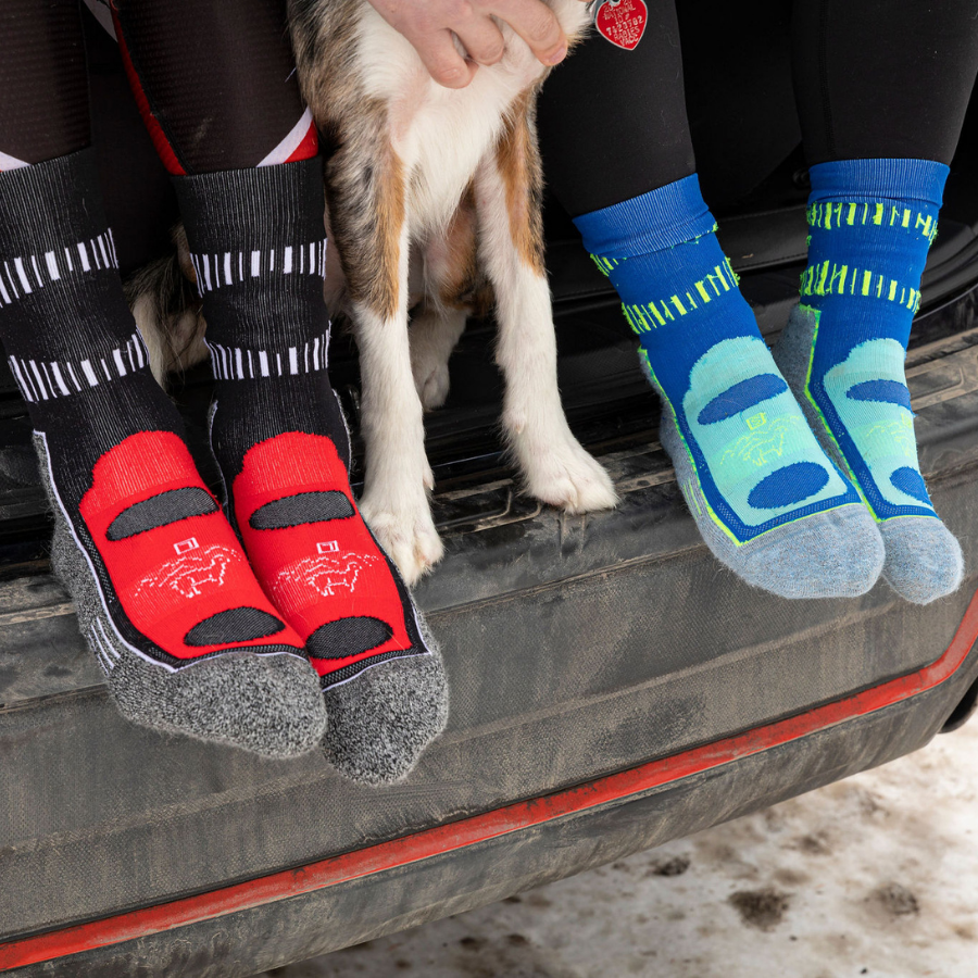 people sitting on the back of a car wearing black and red and blue alpaca wool mid crew socks